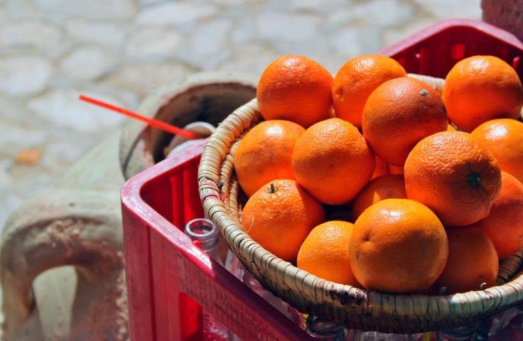 agriculture, alimentation, bio, durable, circuits courts, précarité, transition, environnement, pesticides, grande distribution, coopération, coopérative, Clémentines